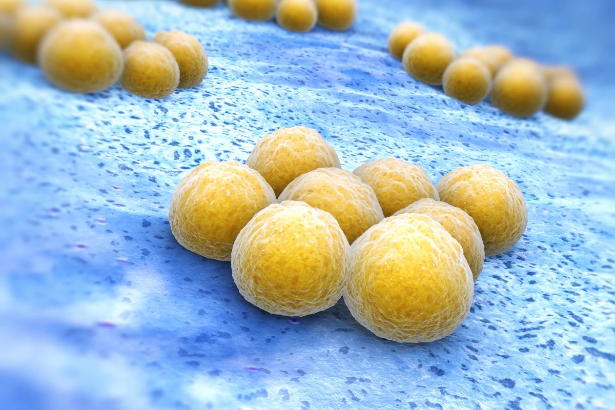 Antibiyotik Dirençli Bakteriler ve Trap-Zap Sistemi