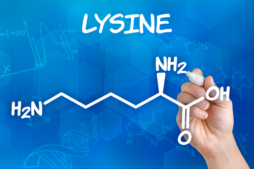 Kümes Hayvanları Lizin Pazar Analizi 2021-2027