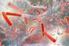Gübrede, antibiyotik direncine çözüm aranıyor