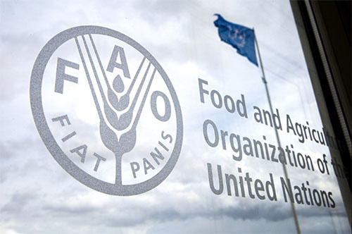 FAO Gıda Fiyat Endeksi Mart Ayında Değişmedi