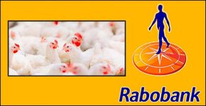 Rabobank Kanatlı Endüstrisi 2021 3. Çeyrek Raporu: Yerel endüstri performansını iyileştiriyor, ticaret akışlarını değiştiriyor