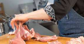 Salmonella kontrolünün gelecekteki başarısı