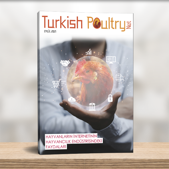 Turkish Poultry Aylık Dergi – Eylül 2021