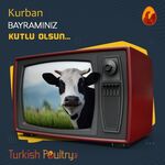 Bayramınız Kutlu Olsun