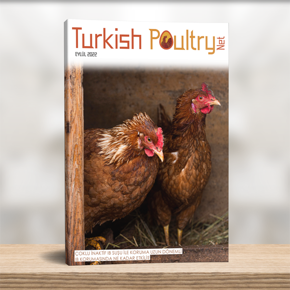 Turkish Poultry Aylık Dergi – Eylül 2022