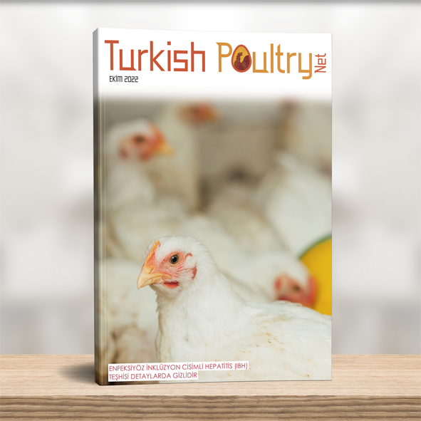 Turkish Poultry Aylık Dergi – Ekim 2022