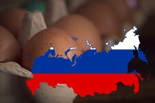 Rusya, Avian Influenza’ya Karşı Toplu Aşılama Başlatıyor