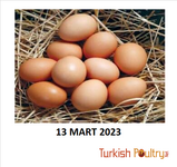 Yumurta Fiyatları – 13 Mart 2023