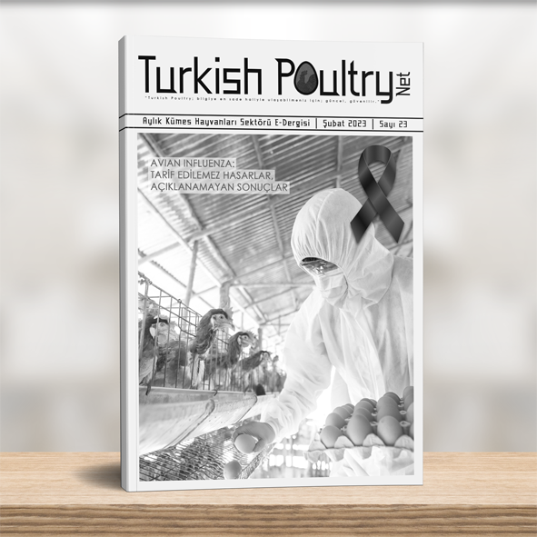 ŞUBAT 2023