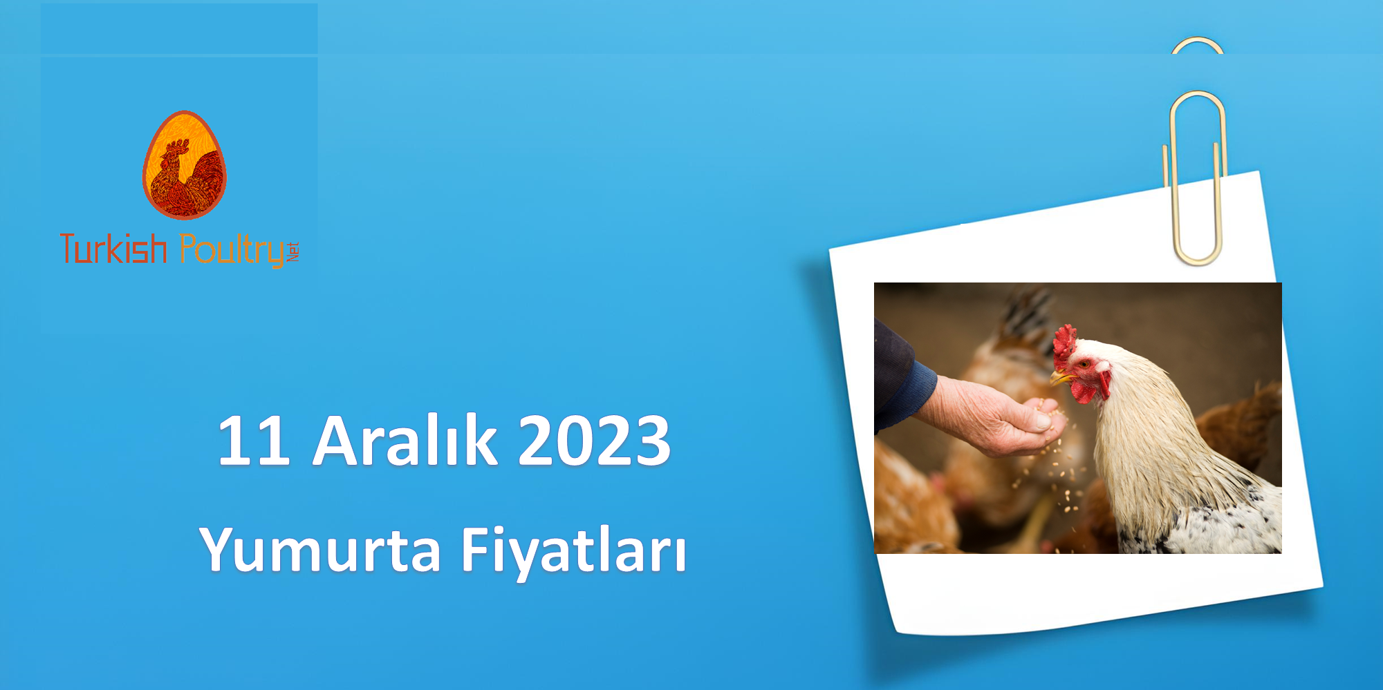Yumurta Fiyatları