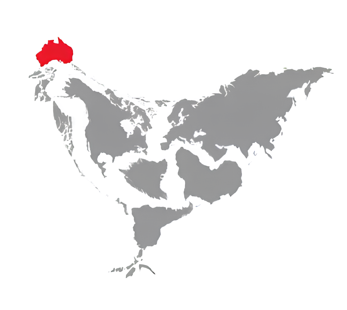 Detaylı Kanatlı Endüstrisi İstatistikleri 1961 – 2022