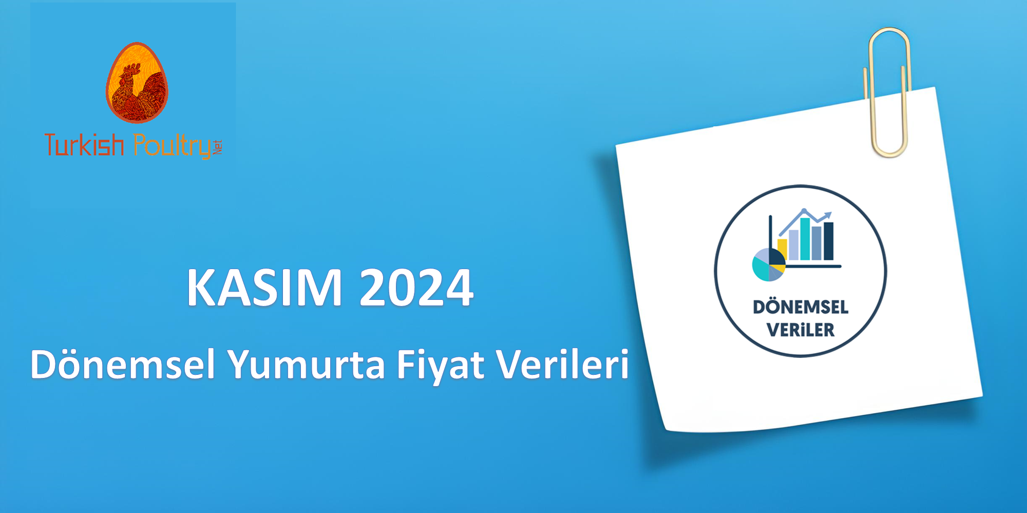 DÖNEMSEL YUMURTA FİYAT VERİLERİ – ARALIK 2024