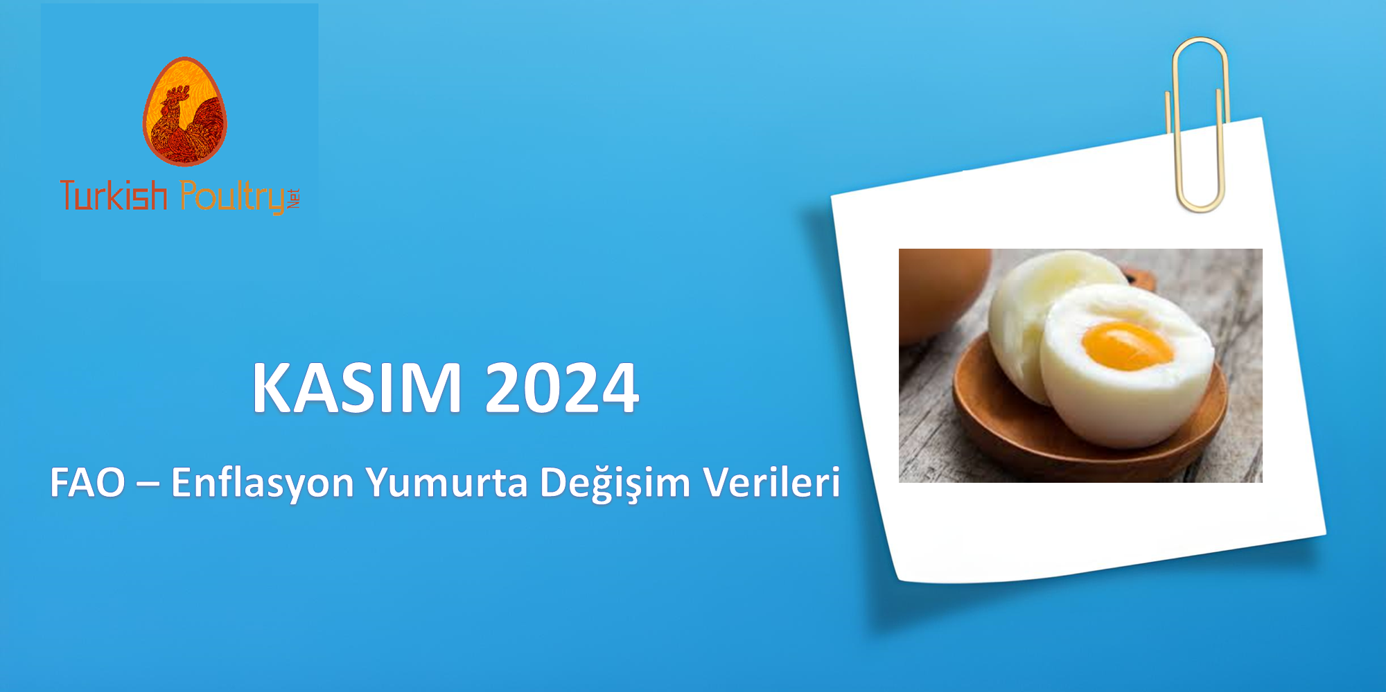 FAO – ENFLASYON – YUMURTA FİYAT DEĞİŞİM VERİLERİ – ARALIK 2024