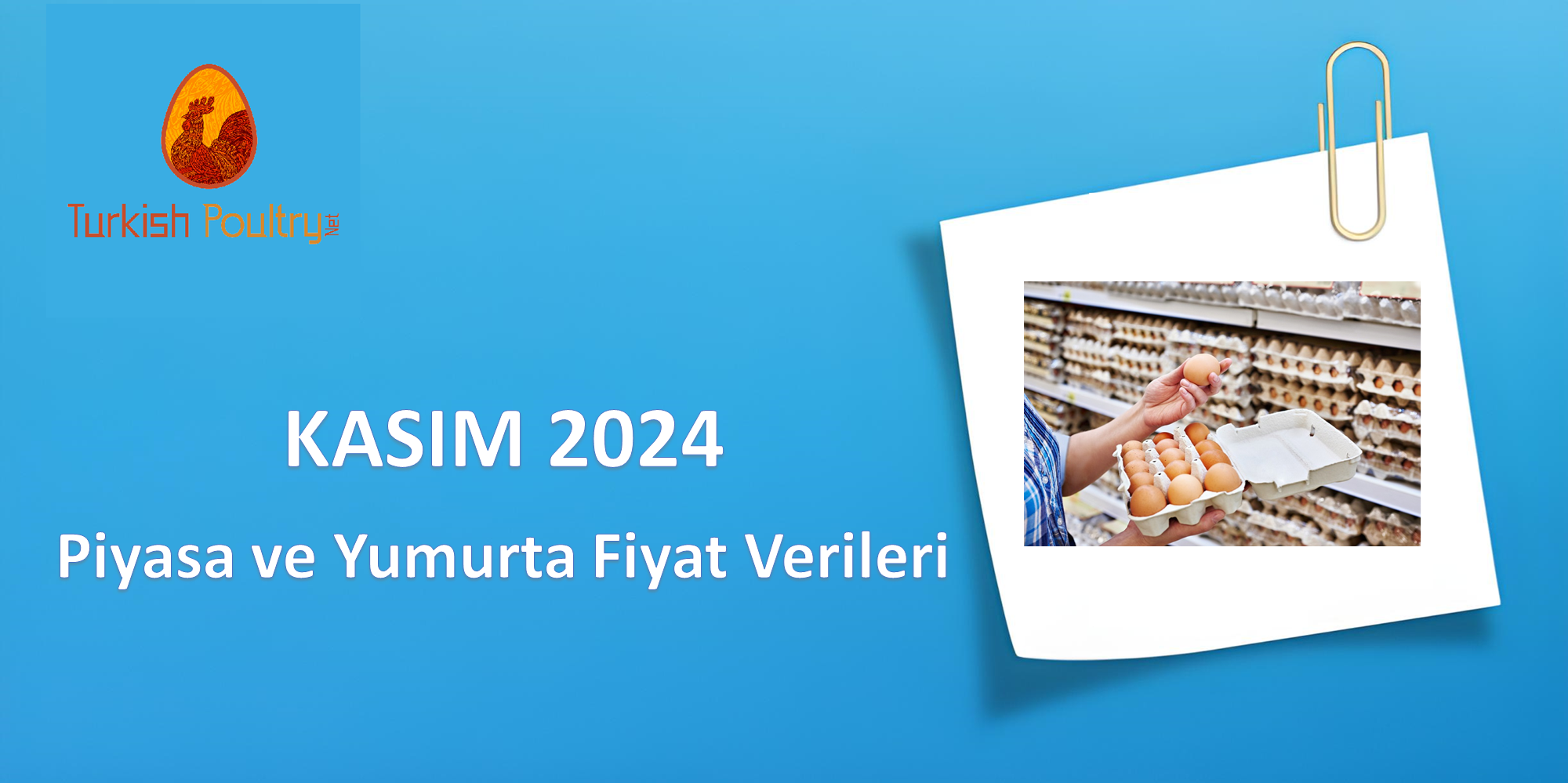 PİYASA ve YUMURTA FİYAT VERİLERİ – ARALIK 2024
