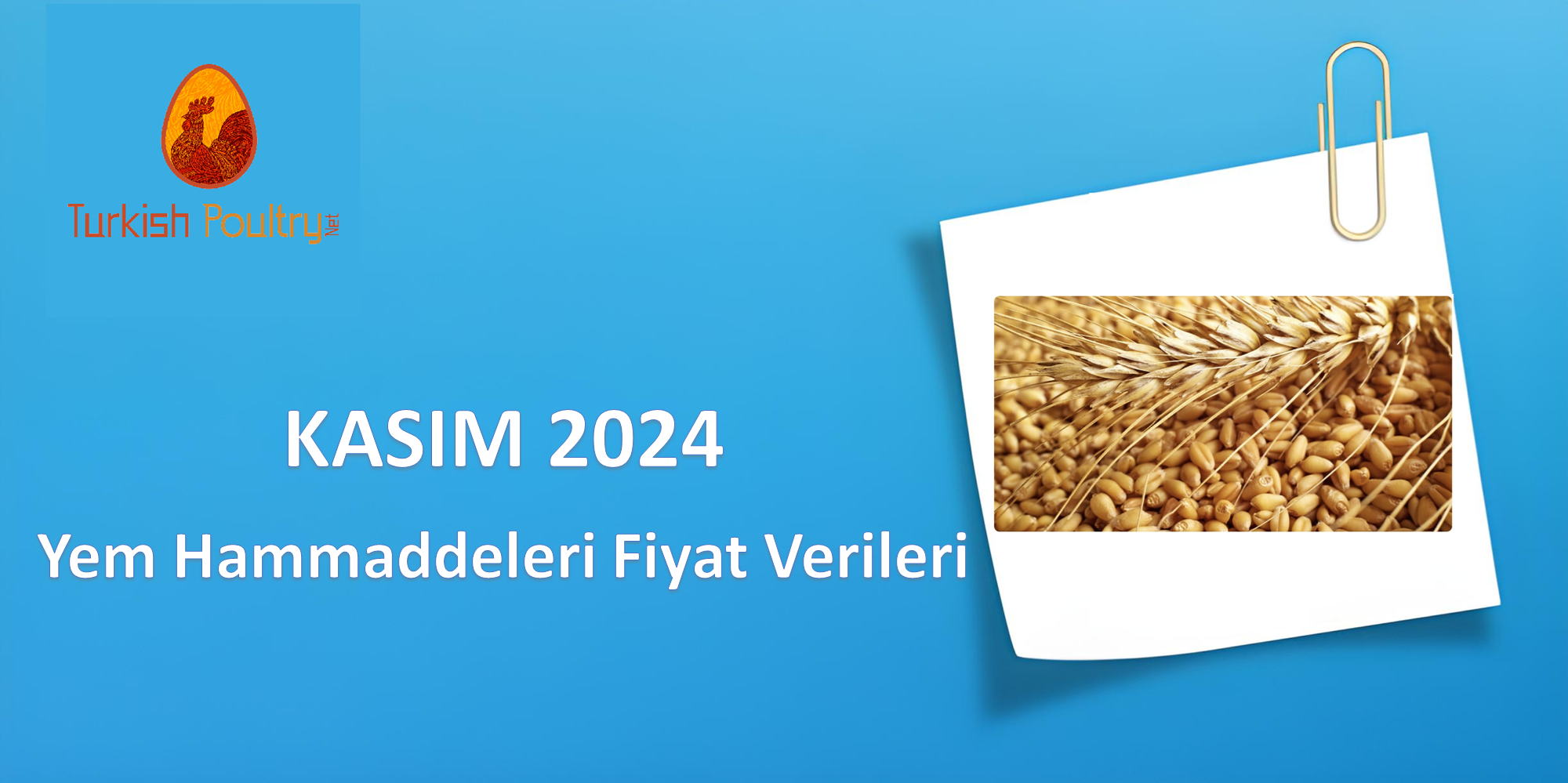 YEM HAMMADDELERİ FİYAT VERİLERİ – ARALIK 2024