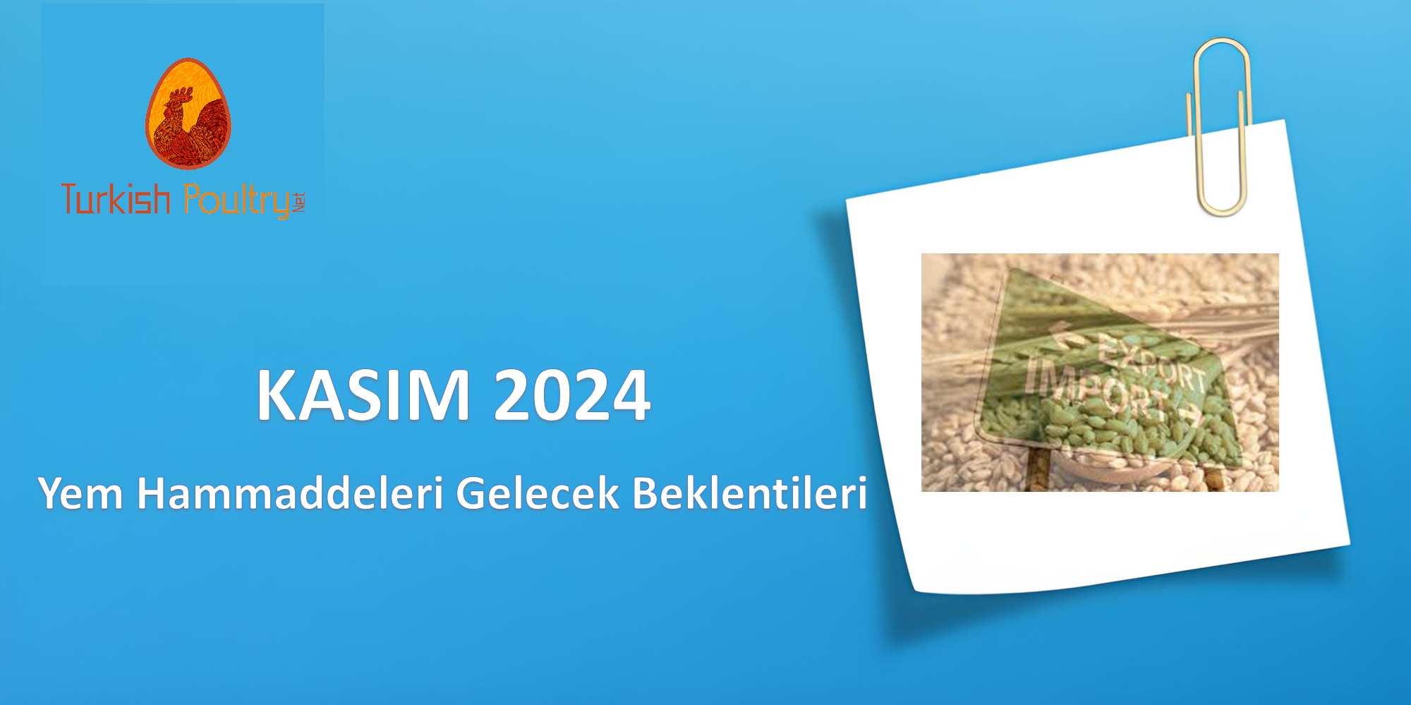YEM HAMMADDELERİ GELECEK FİYAT BEKLENTİLERİ – ARALIK 2024