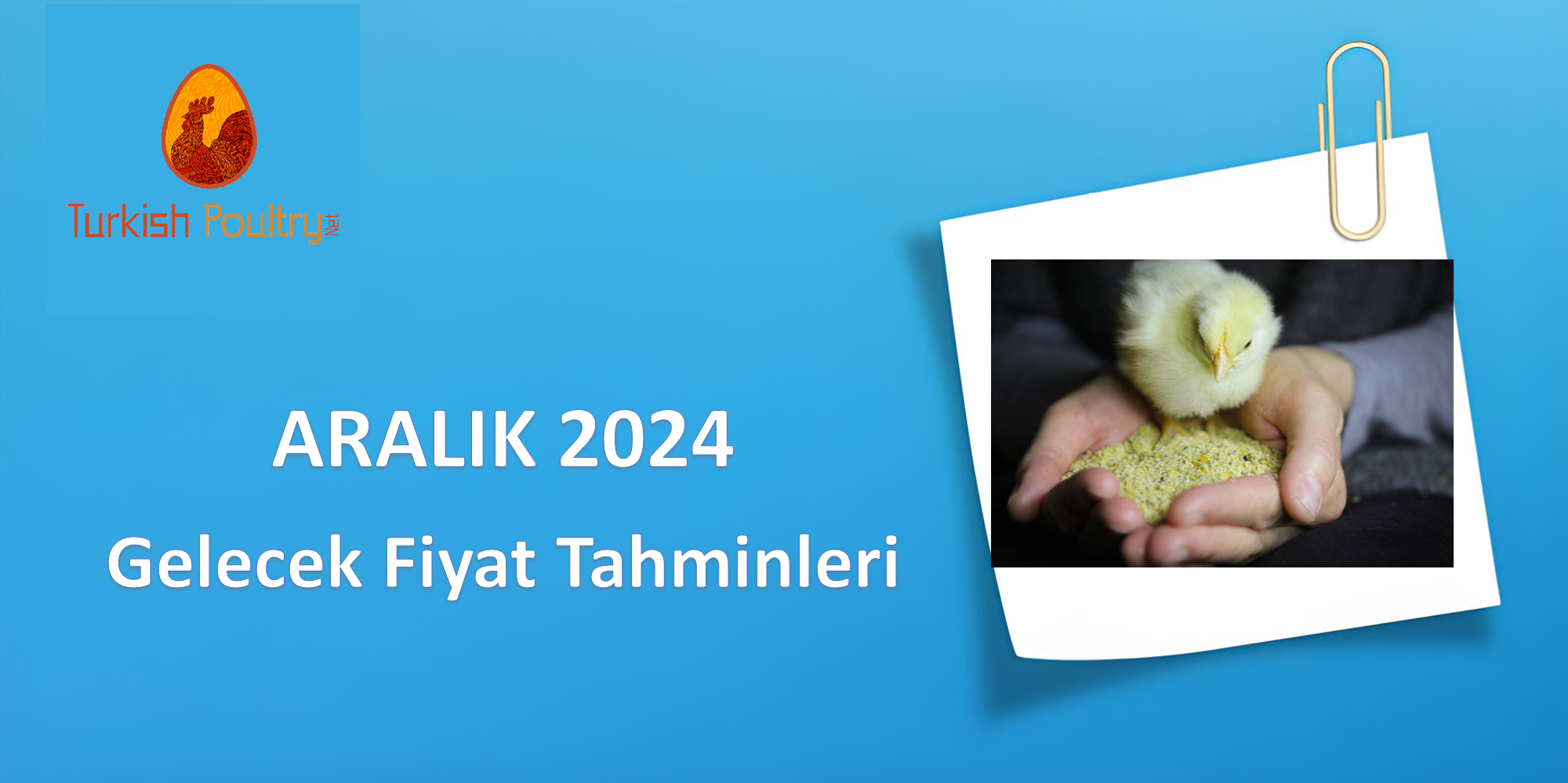 YEM HAMMADDELERİ GELECEK FİYAT BEKLENTİLERİ – OCAK 2025