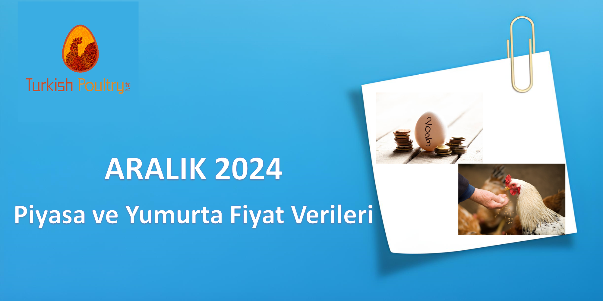PİYASA ve YUMURTA FİYAT VERİLERİ – OCAK 2025