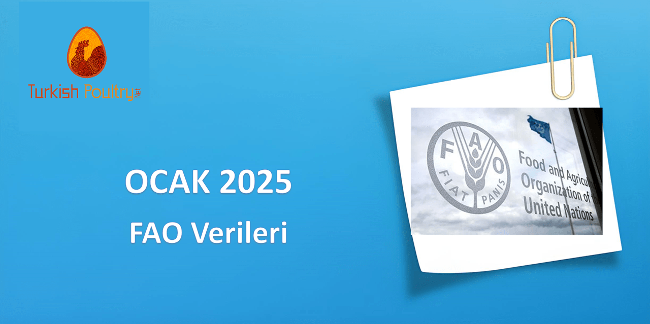 FAO VERİLERİ – ŞUBAT 2025