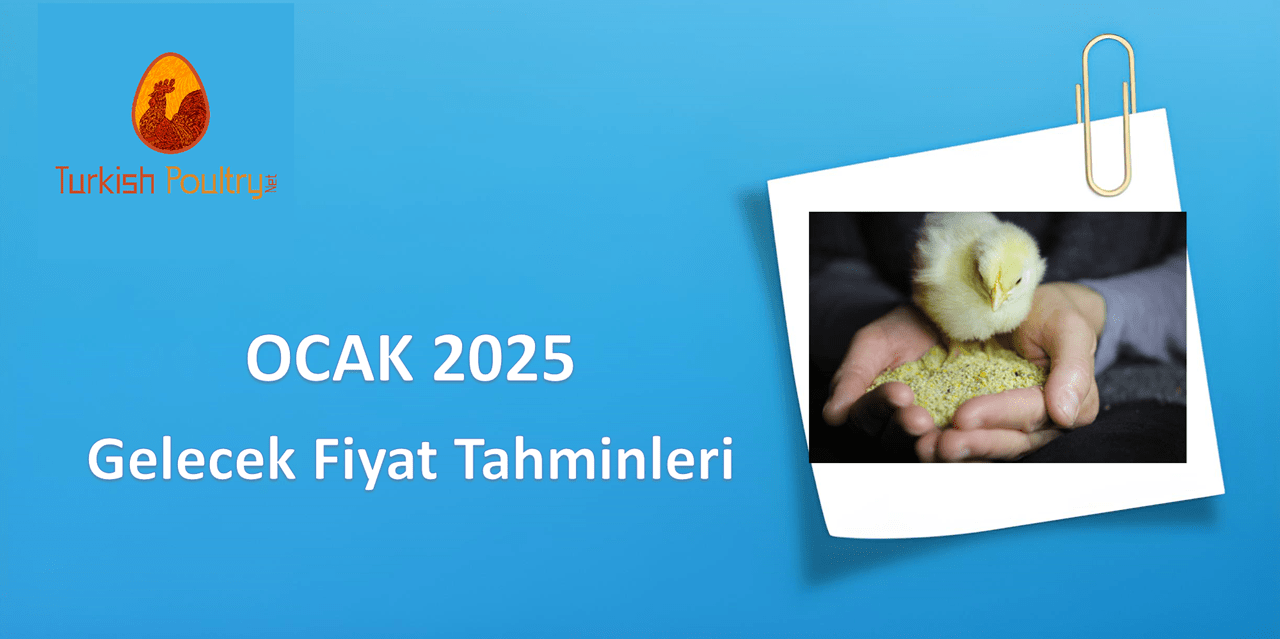 YEM HAMMADDELERİ GELECEK FİYAT BEKLENTİLERİ – ŞUBAT 2025