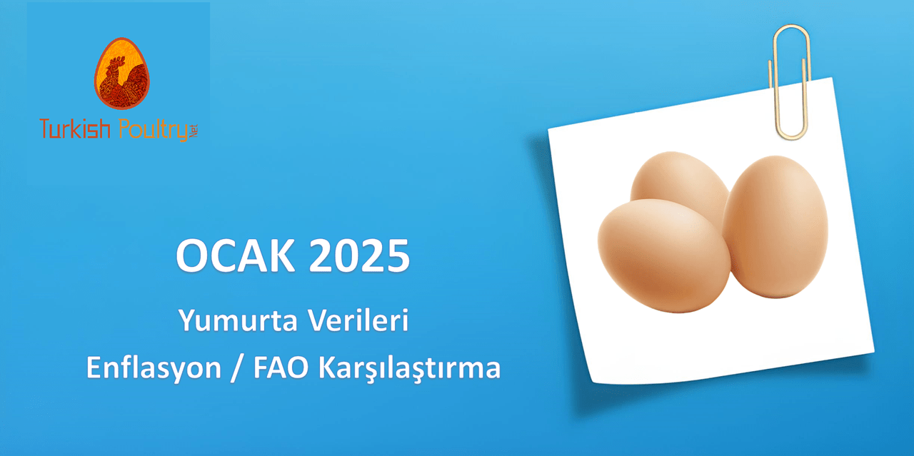 FAO – ENFLASYON – YUMURTA FİYAT DEĞİŞİM VERİLERİ – ŞUBAT 2025