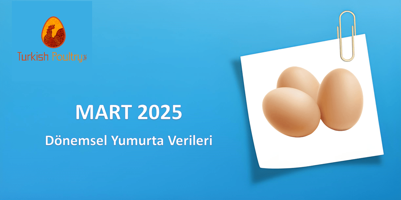 Dönemsel Yumurta Fiyat Verileri – 03.25