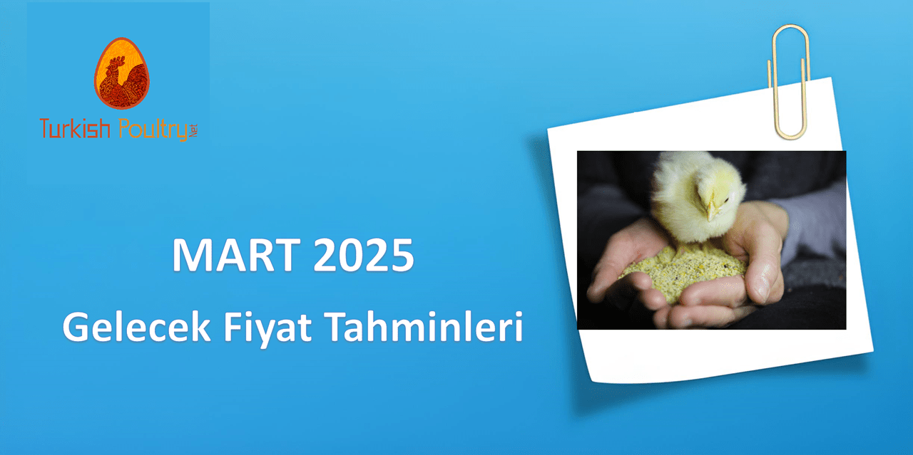Yem Hammadde Gelecek Fiyatları – 03.25
