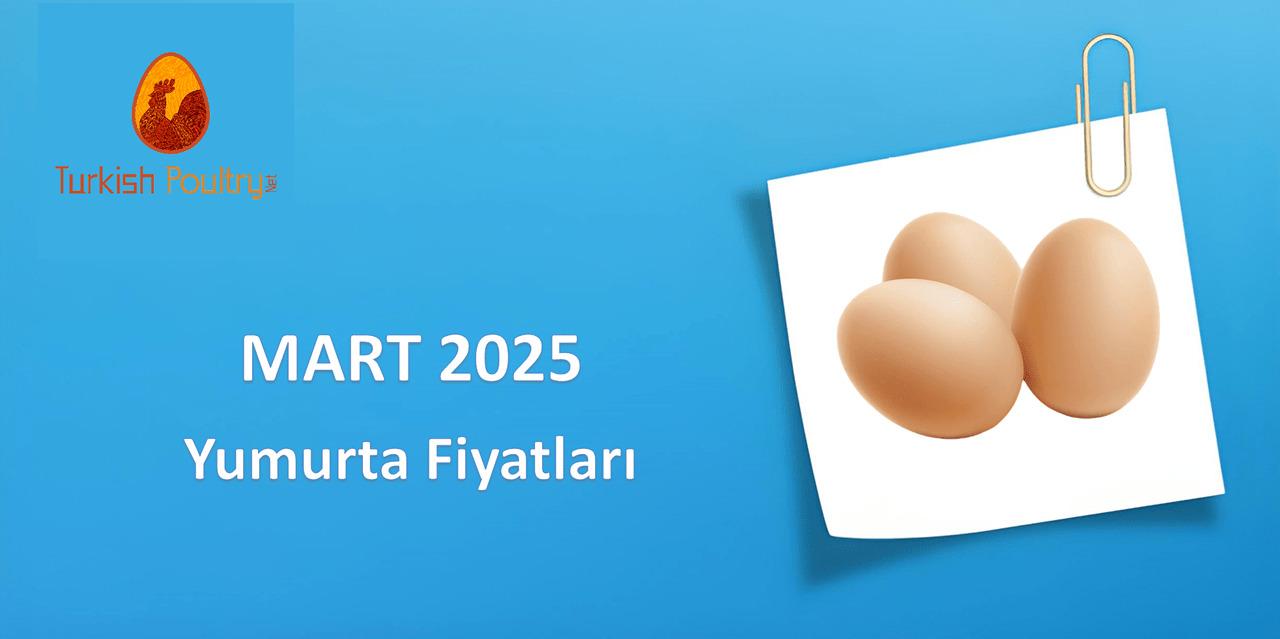 Yumurta Fiyatları – 03.25