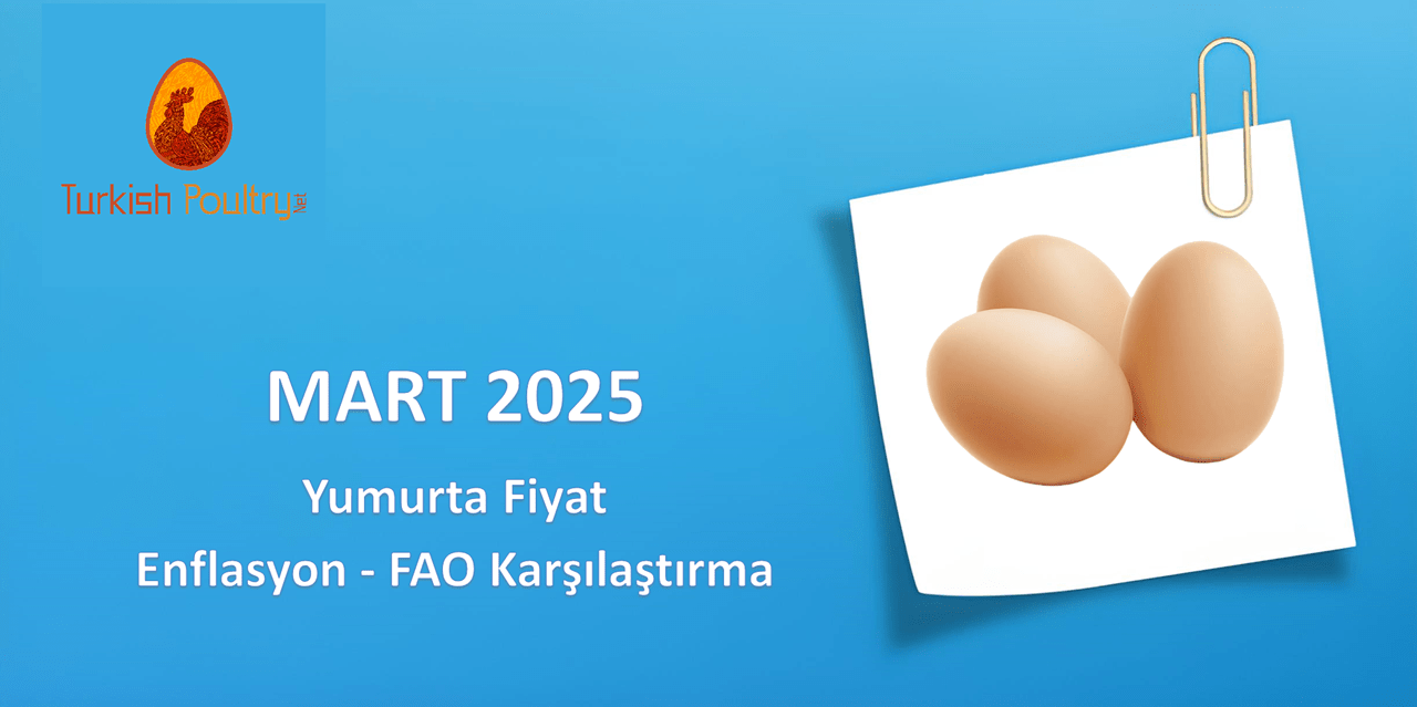 Yumurta Fiyat – Enflasyon – FAO Karşılaştırma – 03.25