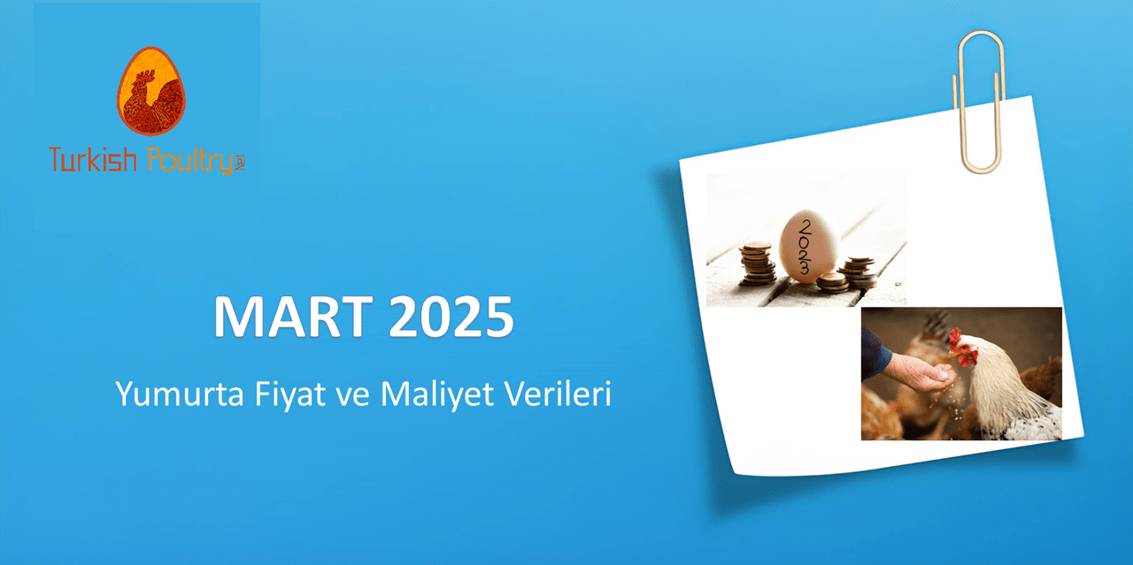 Yumurta Fiyat ve Maliyet Verileri