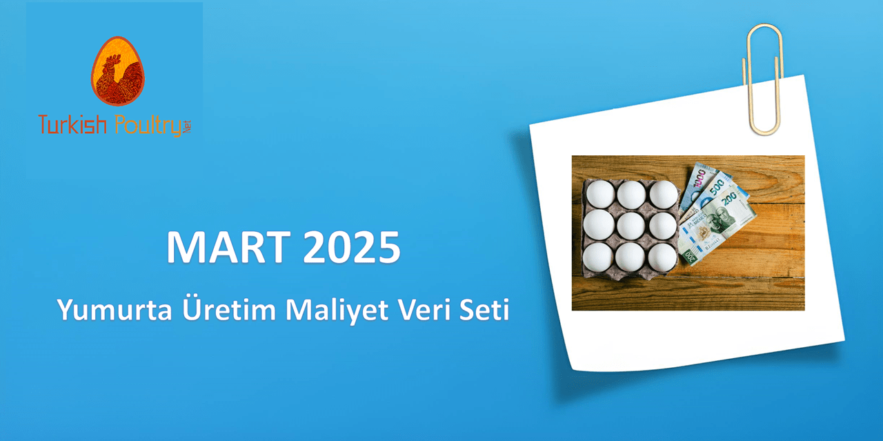 Yumurta Üretim Maliyet Veri Seti – 03.25