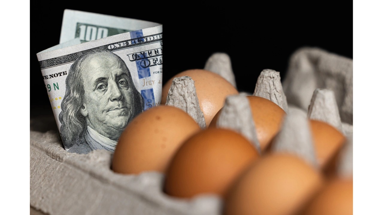 USDA, kuş gribiyle mücadele ve yumurta fiyatlarını düşürmek için 1 milyar dolar yatırım yapıyor