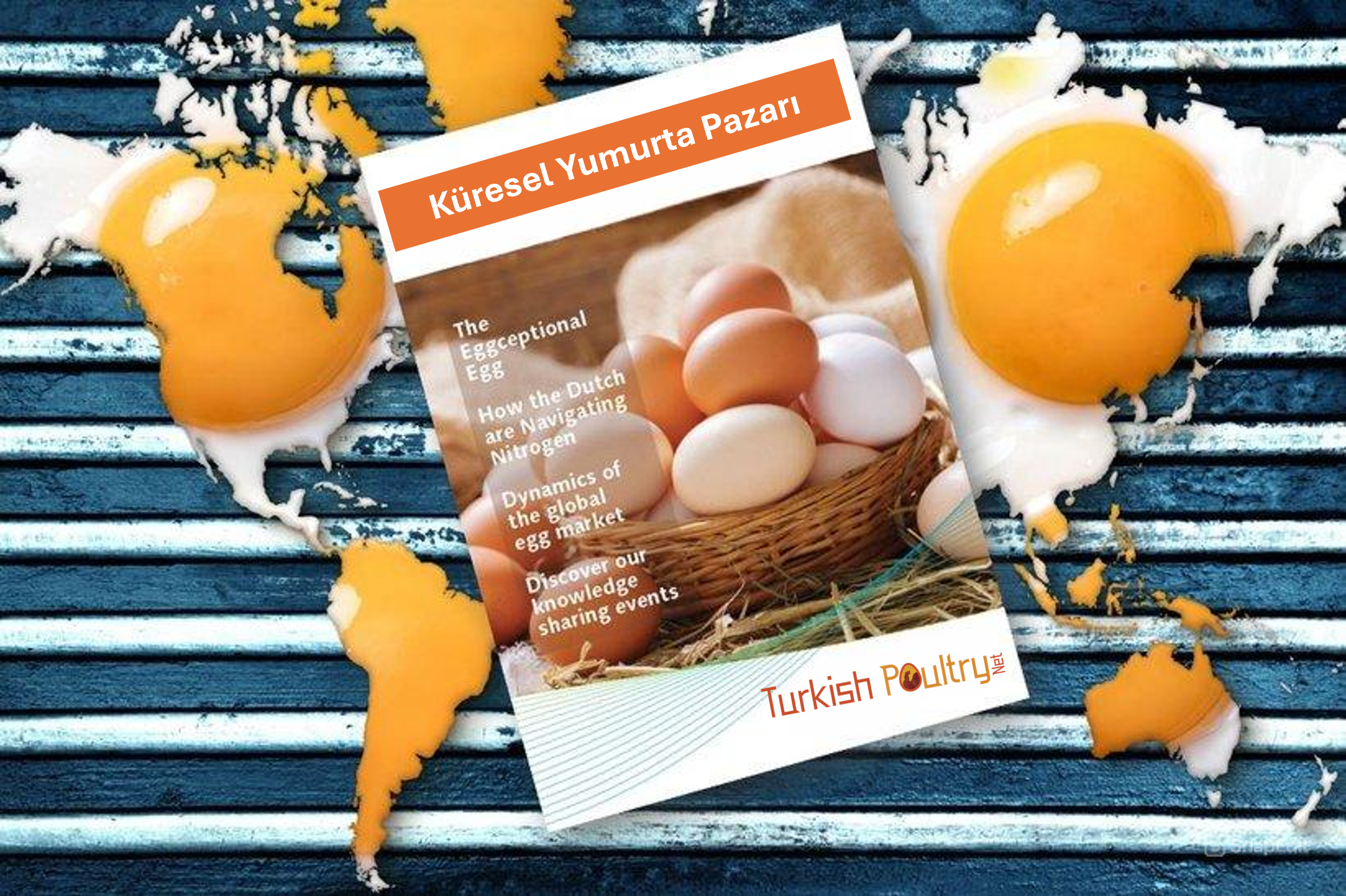 ABD yumurta Piyasalarına Genel Bakış – 9 Mayıs