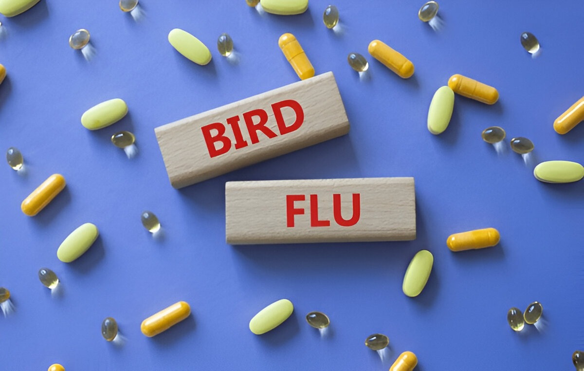 Yüksek patojeniteli Avian Influenza (HPAI) – Bulaşma
