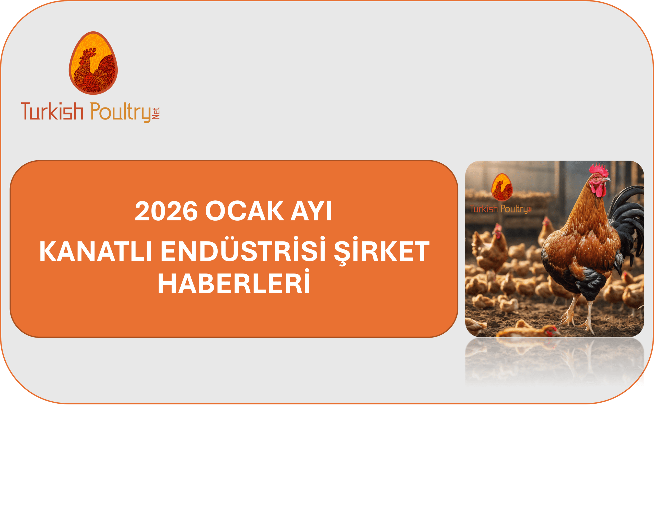 Ocak Ayı Kanatlı Endüstrisi Şirket Haberleri