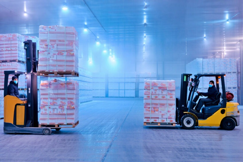 Denetim eksiklikleri nedeniyle AB’ye Çin’den kümes hayvanı ithalatını askıya alma çağrısı yapıldı